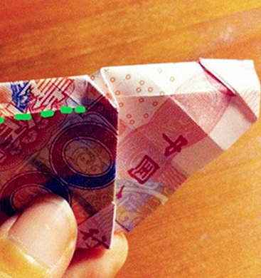 用钱做花的图片