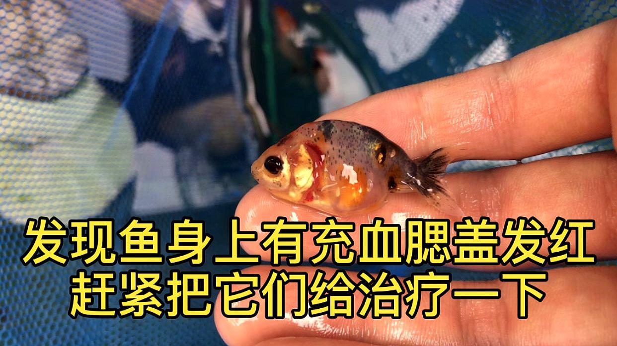 360影视 影视搜索 360影视 影视搜索