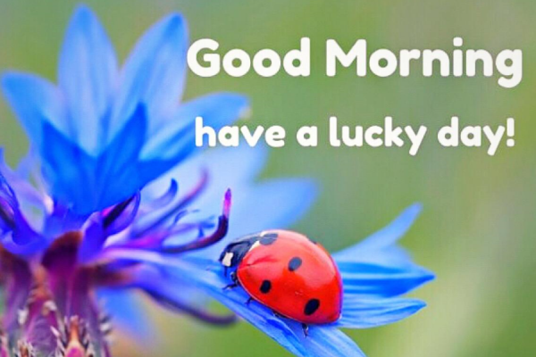 扩展资料: 早上好的英语表达还有下面这些: 1,习惯不同,早上好英文