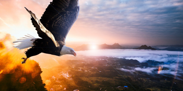 小学儿童短篇故事文字版: