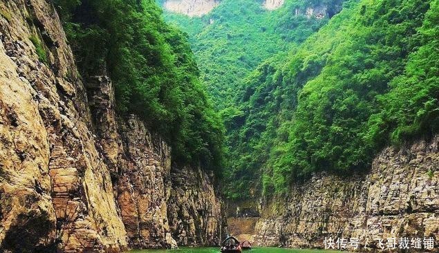 两岸猿声啼不住员是什么猿