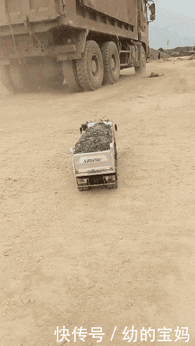 什么动物春天来了