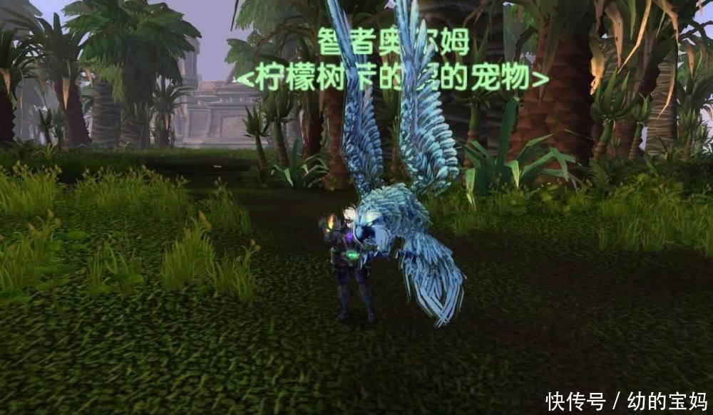 魔兽怀旧服战场怎么打