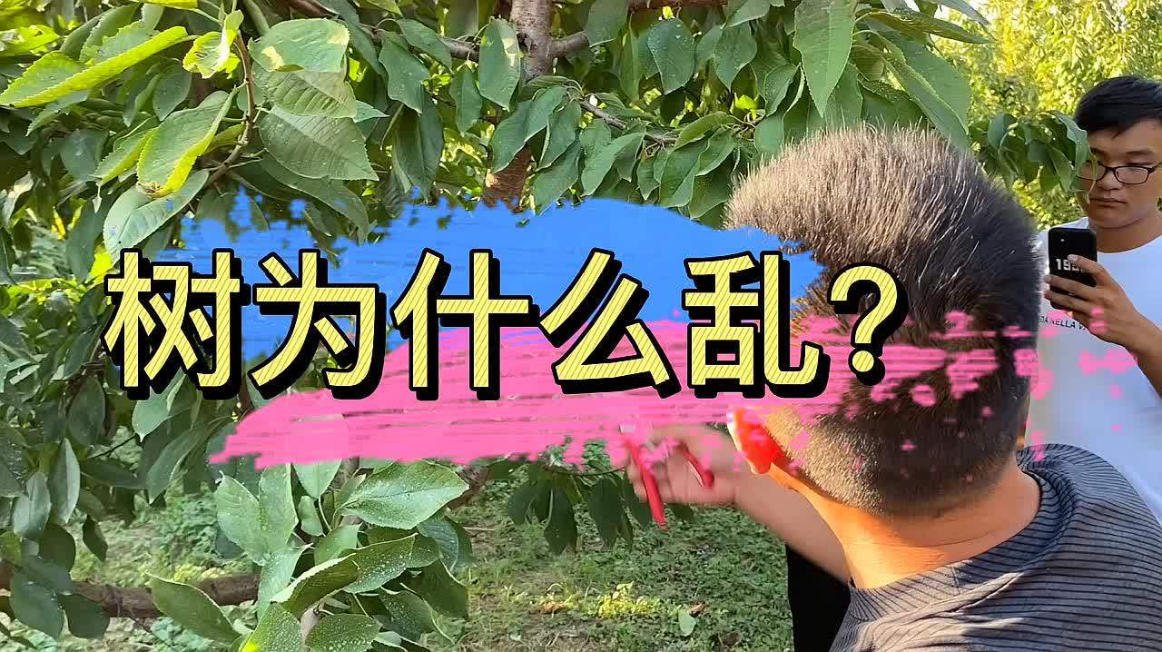 360影视 影视搜索 360影视 影视搜索