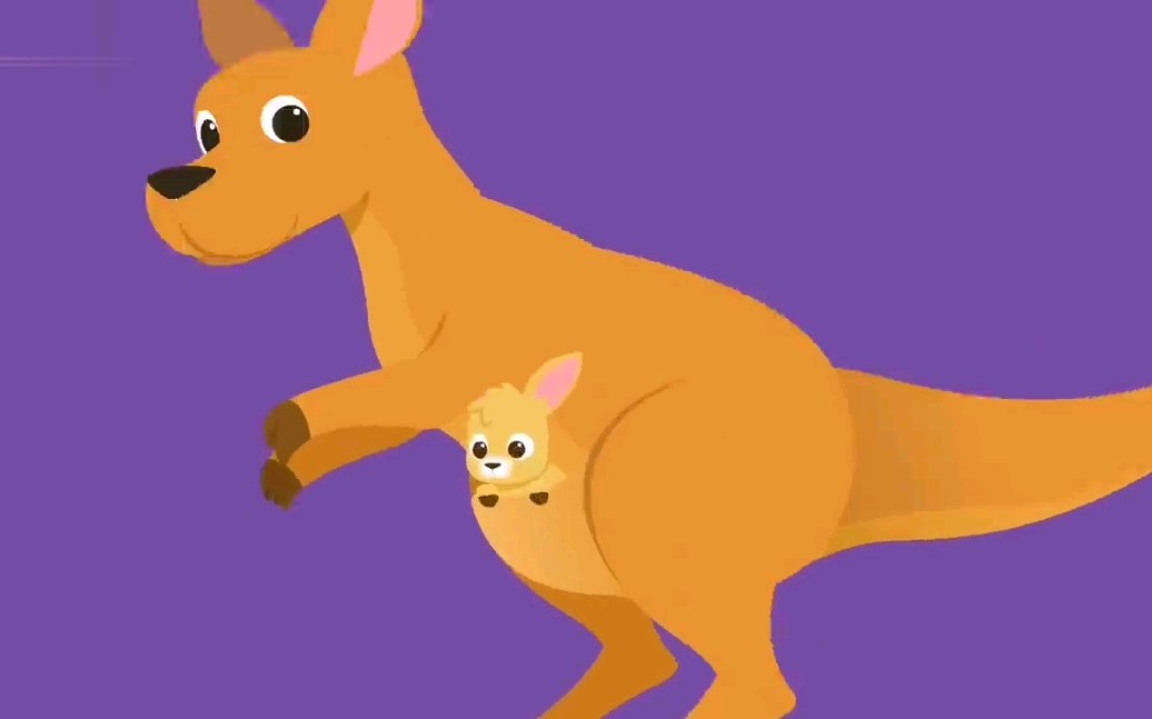 小动物单词: 袋鼠和小 袋鼠,让宝宝爱上英语,开口说不停!