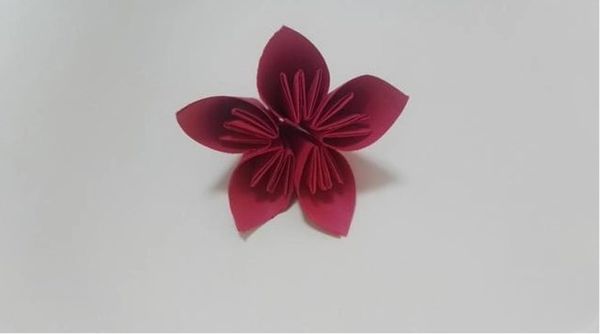 如何用一张正方形纸折一朵花?