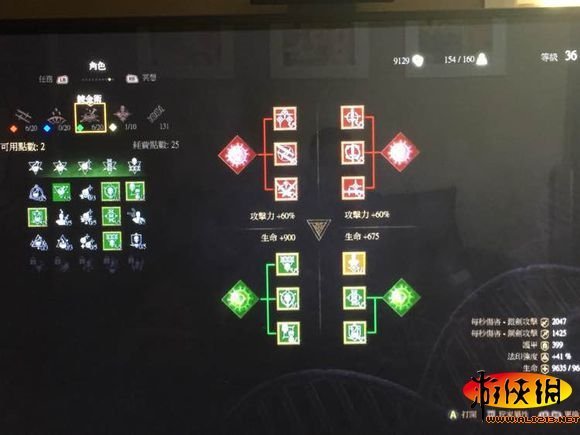 巫师3猫流派如何秒怪加点