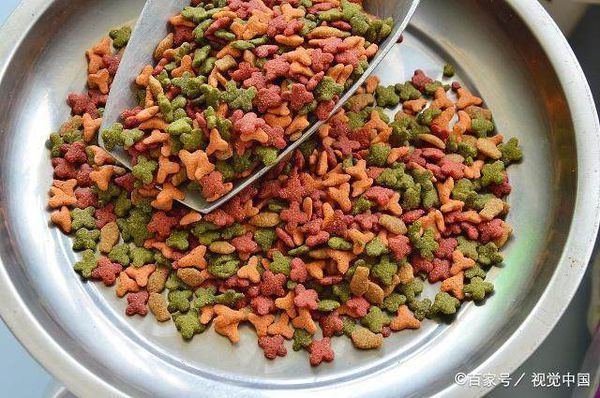 该怎么给自家猫咪挑选猫粮,天然粮和商品粮到