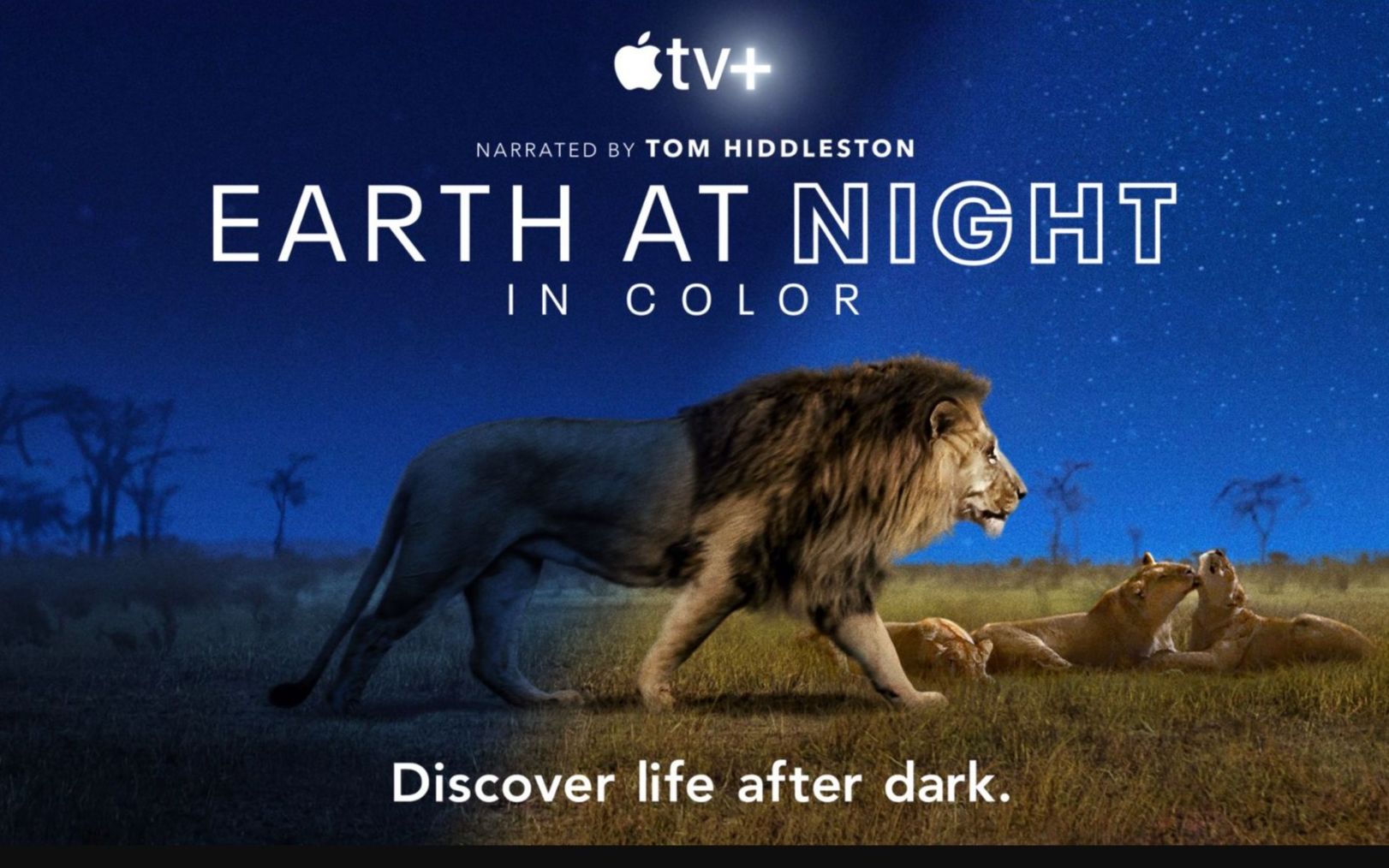 [图]夜色中的地球 第一季 Earth At Night In Color 4K画质 中英文字幕 普通话配音 全6集第一集