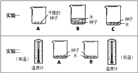 (1)实验一中,经过几天的培养后,能萌发的种子是