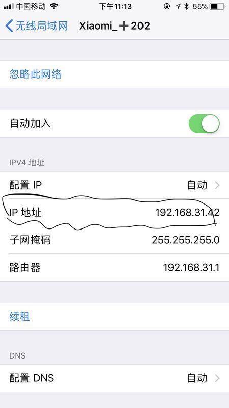 我把苹果6s的dns改成114怎么变回去