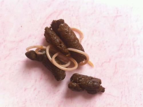 打虫药哪儿有卖?一般多少钱?