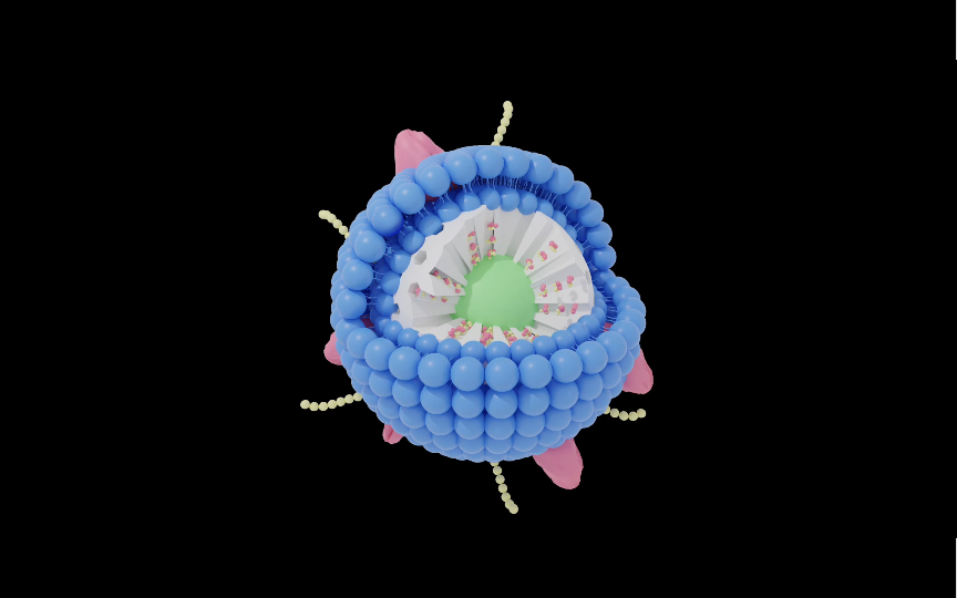 [图]【blender科研绘图】基础篇-细胞膜包裹材料模型