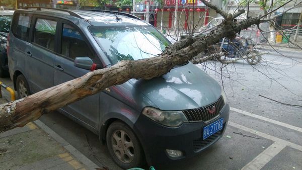 我的汽车停在马路边的停车位上,正确停放!被一