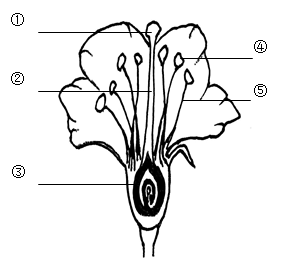 下图是桃花结构图,请据图回答:(1)图中的①,②,③三部分构成花的 .