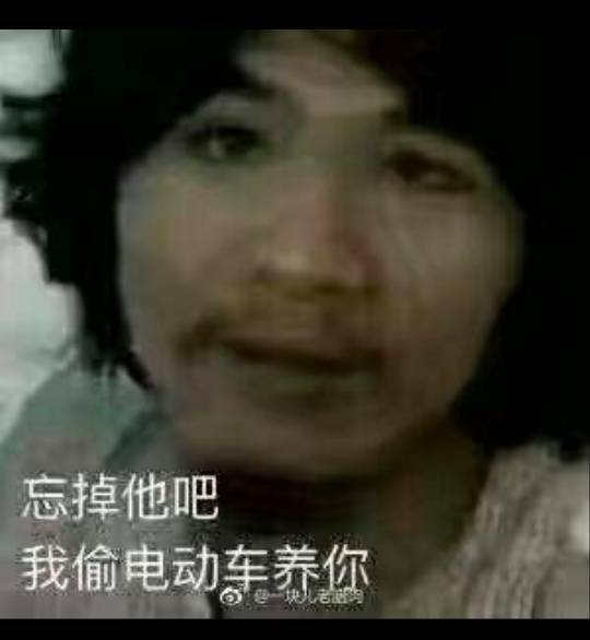 忘了他吧,我拿电瓶车养你什么梗