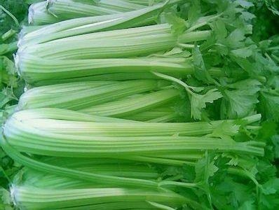 西芹和芹菜怎么区别