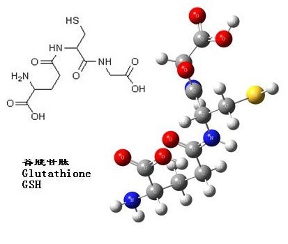 求谷胱甘肽结构式