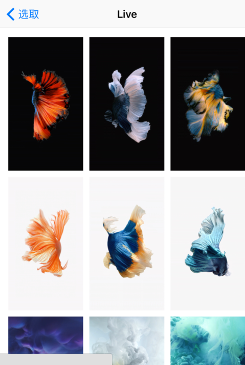 6s设动态壁纸怎么设置才有声音