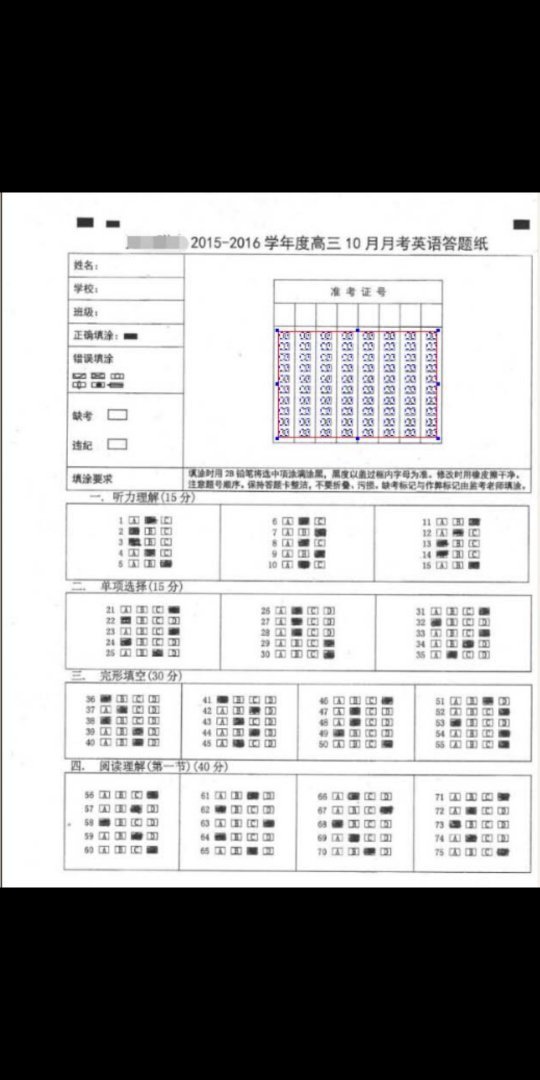 请问这个答题卡模板是由什么软件制作的?