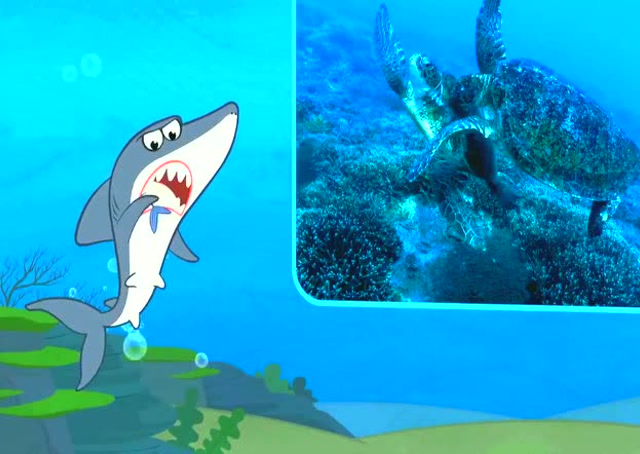 宝宝启蒙教育 b>动画 /b>:熟悉海洋动物 b>大白鲨 /b>