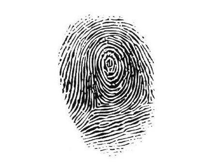 小儿指纹纹色变化及主病规律