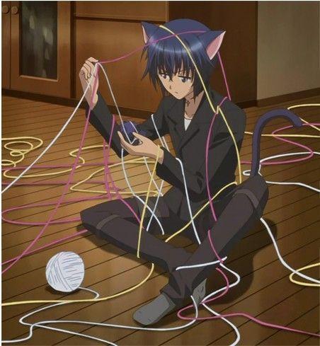 守护甜心里的几斗 无爱之战 又名 loveless