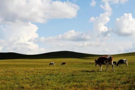 求类似茶叶面包九月寒风他们些的这类风的小说