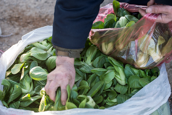 北京大兴区榆垡周边有哪几个集市,分别是哪天?