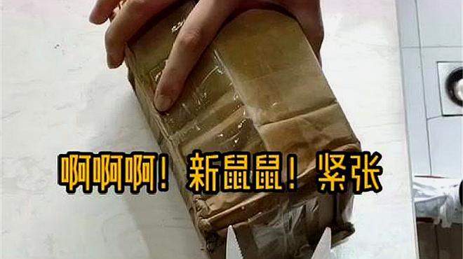 可爱的小 b>仓鼠开箱 /b>,打开后好漂亮,网友:我也想养一只!