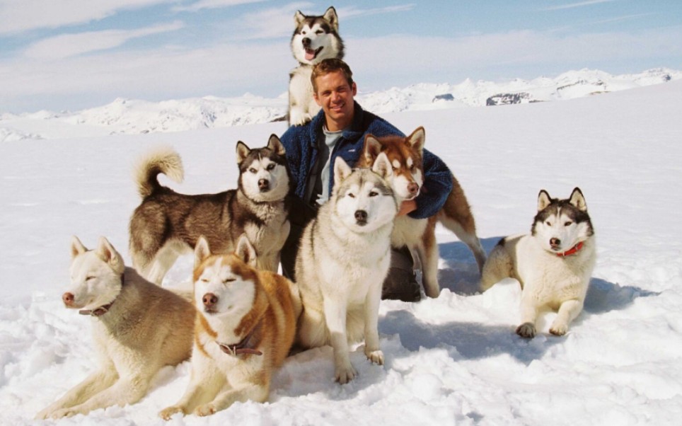 360影视-影视搜索