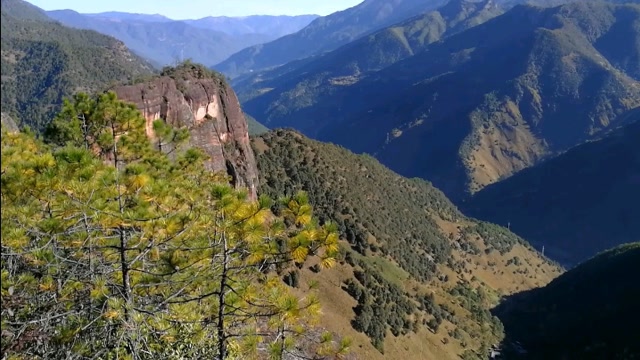 麗江老君山 黎明景區2(千龜山)