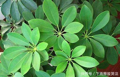 关于这样的句子