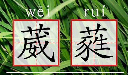 "葳蕤"的读音是什么?什么意思?