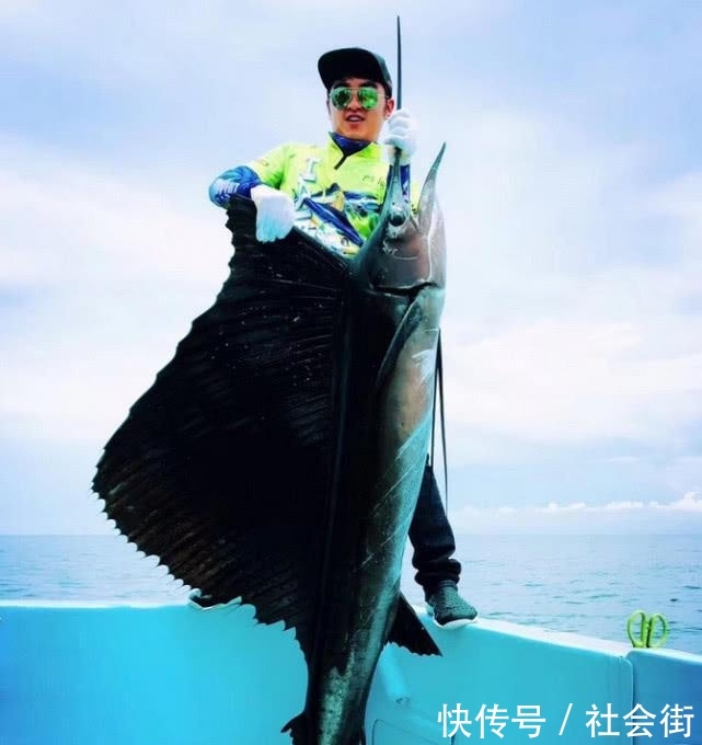 幼崽和成年不一样