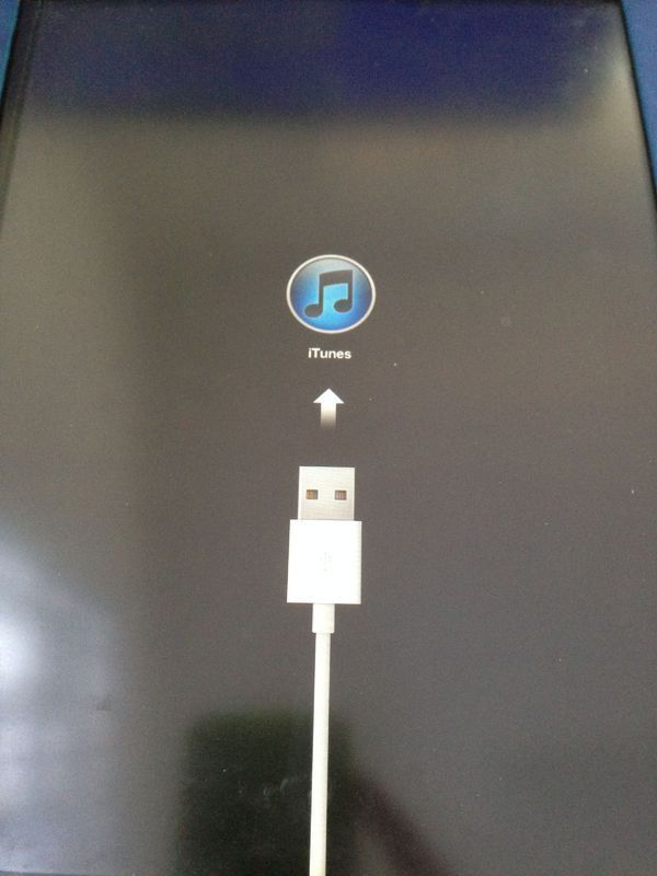 苹果平板电脑 系统升级之后开不开机咋办呢