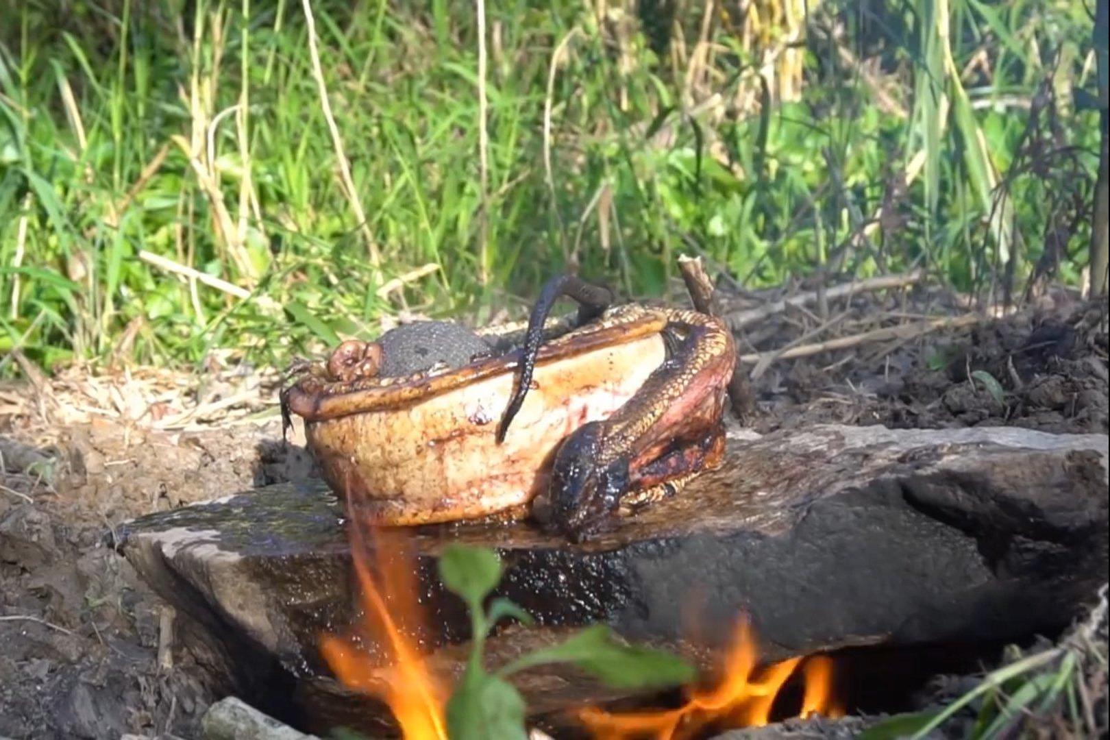 视频- 野外生存:兄弟俩 野外石板烤肉卷,看得出来是什么吗?