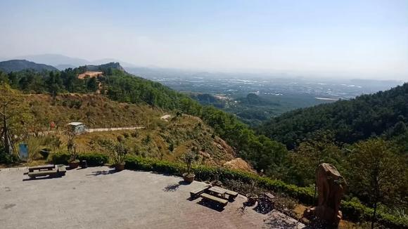 揭阳市揭东区云路镇的市外桃园