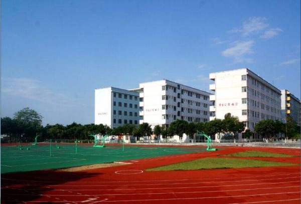 香港有德智中学吗