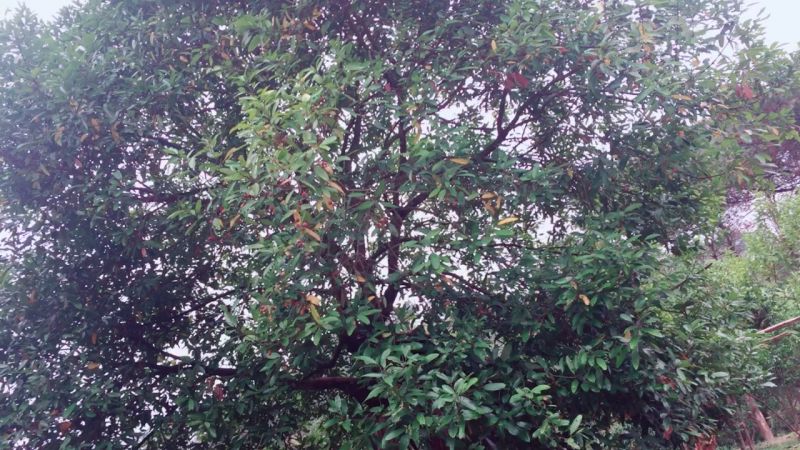 360影视 影视搜索 360影视 影视搜索