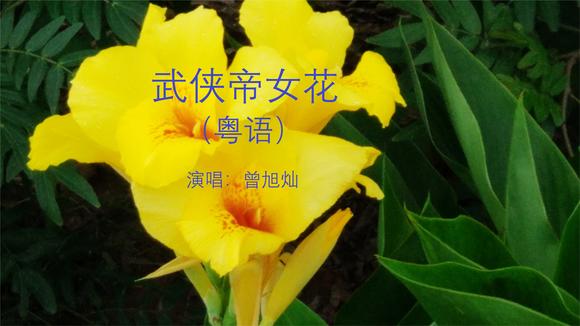 一首好听的 粤语怀旧金曲-- 武侠帝女花