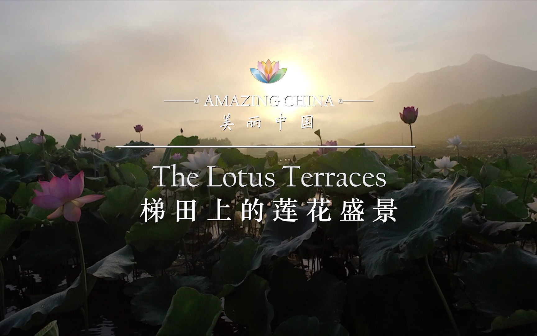 [图]《美丽中国 梯田上的莲花盛景》-The Lotus Terraces