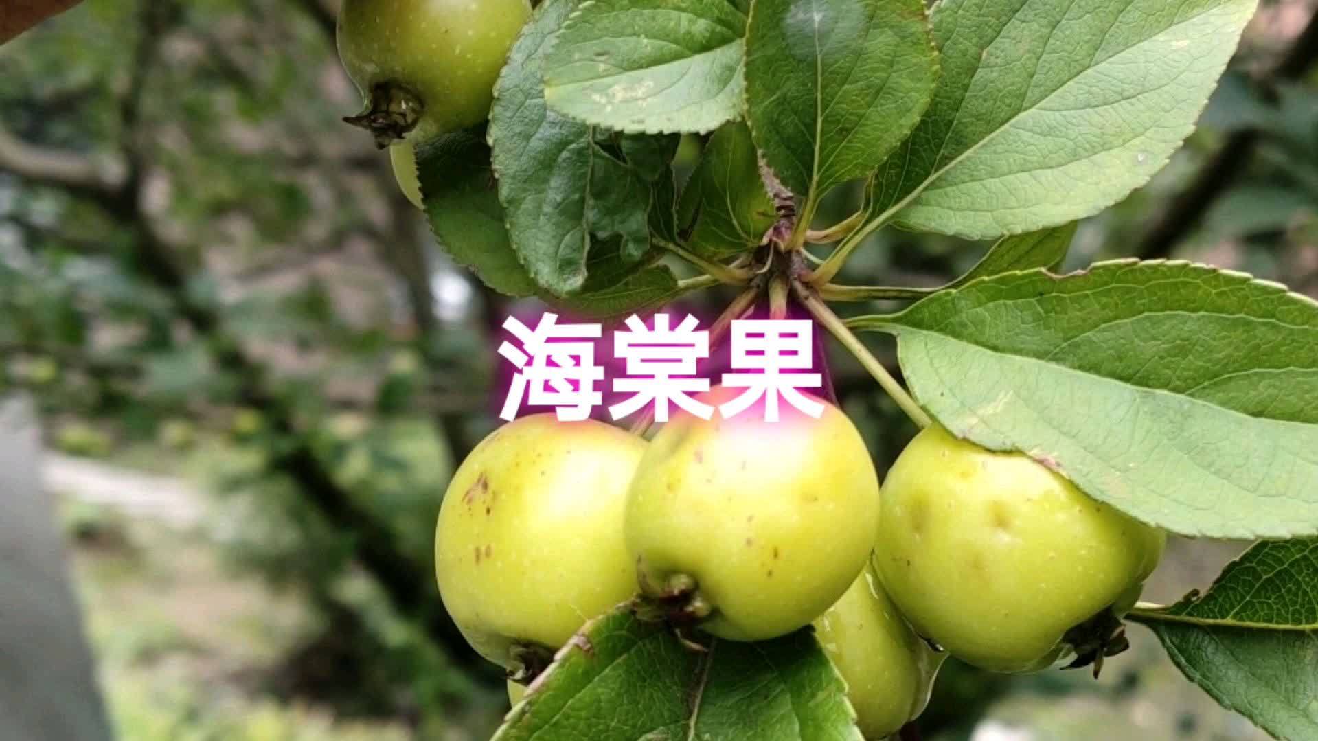 360影视 影视搜索