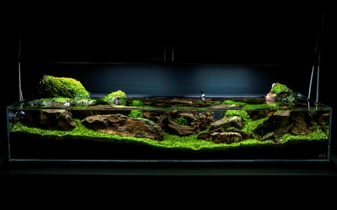 鱼缸造景】 水族箱造景,自循环生态缸