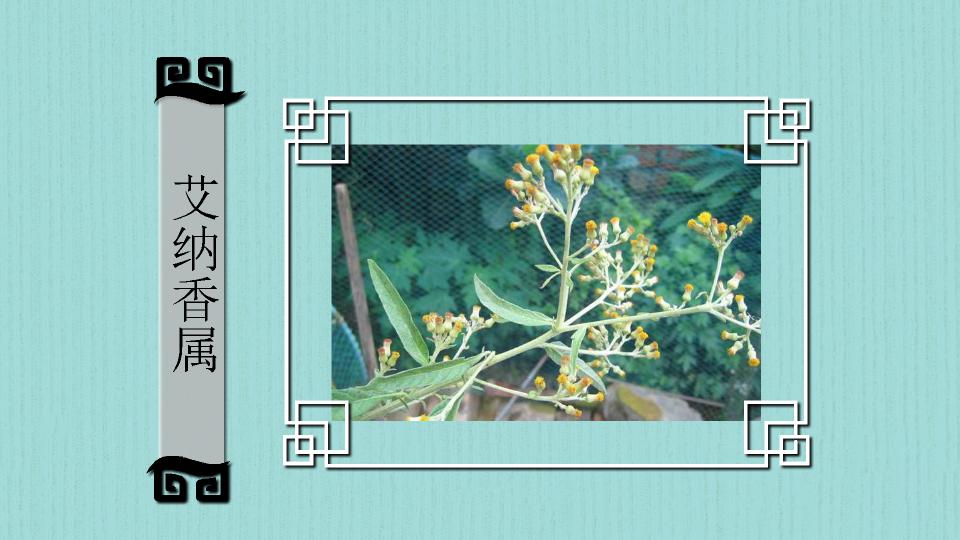 360影视 影视搜索 360影视 影视搜索