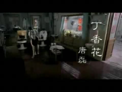 [图]唐磊-丁香花MTV