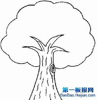 大樹怎麼畫簡筆畫