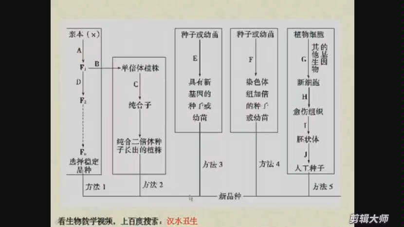 [图]育种方法总结