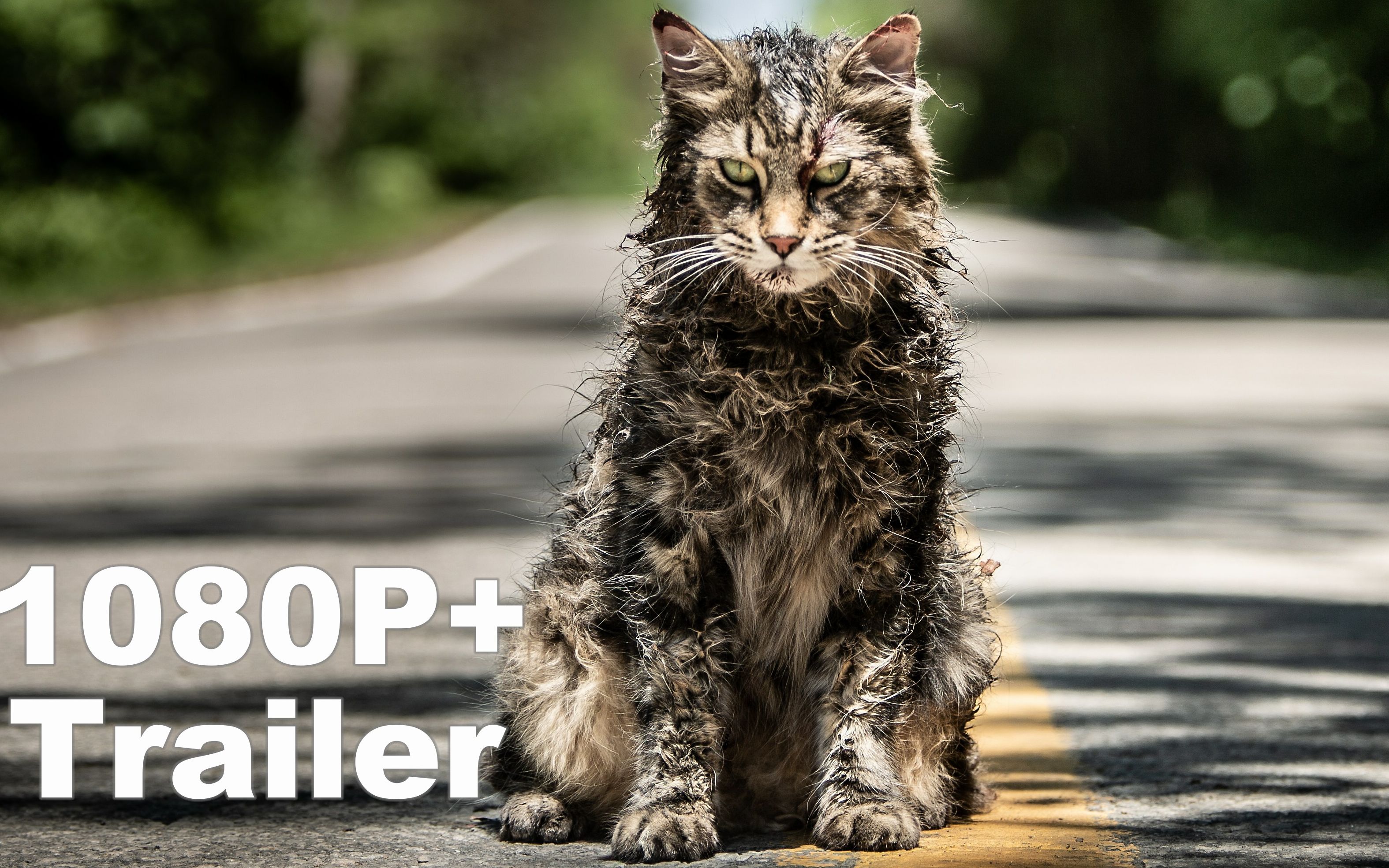 2019恐怖电影《 宠物公墓 pet sematary》1080p 正式预告,斯蒂芬金的
