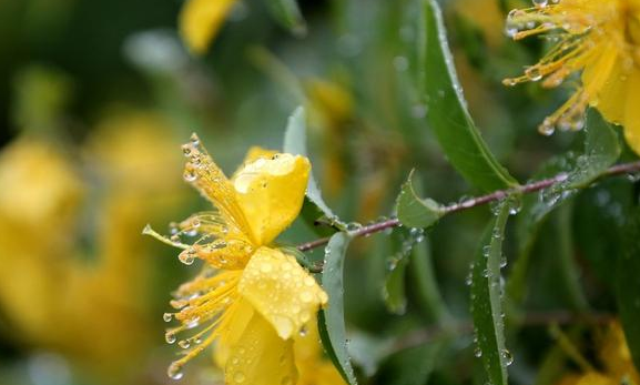 雨過天青,雨絲風片,雨恨雲愁 6,風霜雨雪,雨後送傘,雨昫時若,雨露之恩